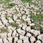 Marmara Gölü'nü kurtarma projesi: 9 Mayıs'ta yasaklanacak – Son Dakika Türkiye Haberleri