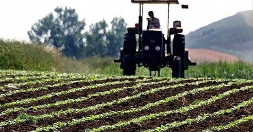 Tarımsal ÜFE yıllık %41 arttı – Son Dakika Ekonomi Haberleri