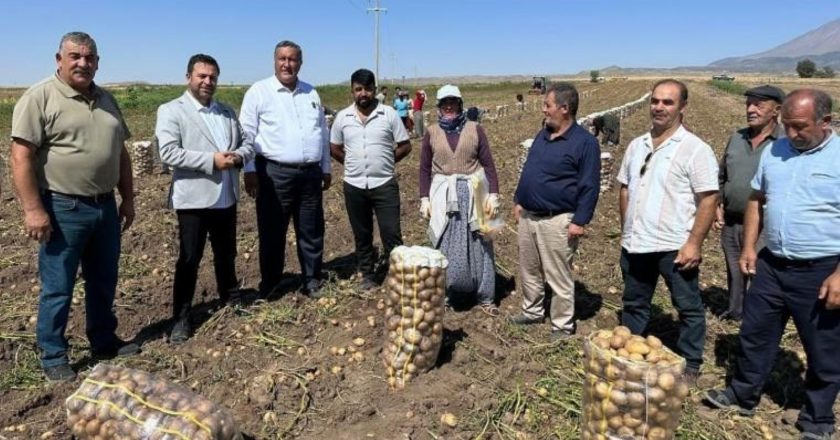 Çiftçinin patatesleri tarlada kalıyor: Biz ekmezsek bu insanlar ne yiyecek? – Tarımla ilgili son dakika haberler