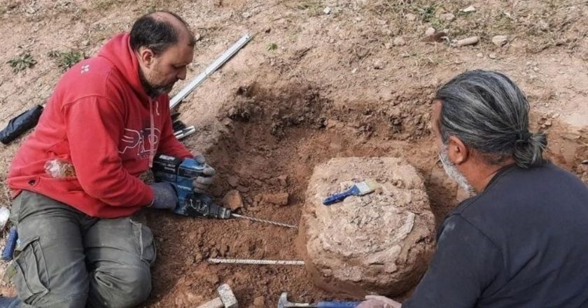 İnsanlık tarihini değiştiren keşif! Dev yaratık bilimde şok yarattı!
