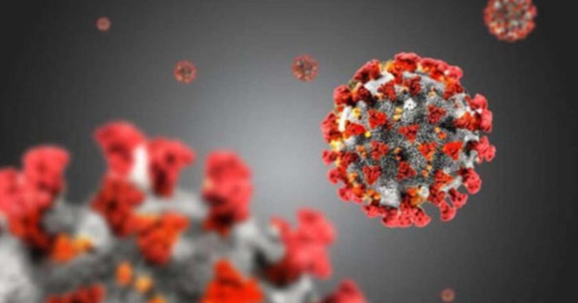 Maymun çiçeği virüsünün belirtileri nelerdir? Maymun çiçeği virüsü hangi ülkelerde tespit edildi? Maymun çiçeği virüsü Türkiye'de mevcut mu? – En son hayat haberleri