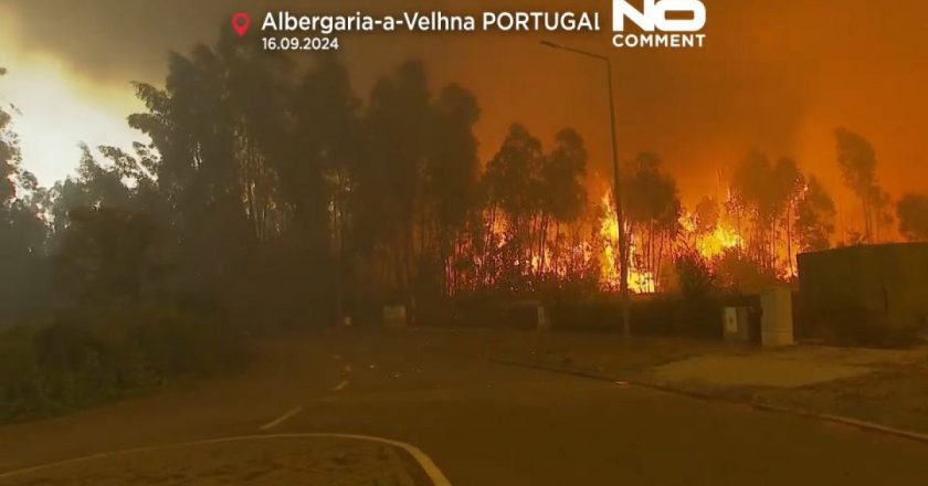 Video. Portekiz'de orman yangınları yerleşim yerlerine de sıçradı