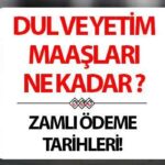 DUL VE YETİM MAAŞI ARTIŞ TABLOSU YENİ OCAK 2025 | Dul ve yetimlere yeni maaş ne kadar? TL’ye ne kadar yükseldi? Dul ve yetim maaşı zammı ne zaman ödenecek? Artış Ocak ayında olacak mı?