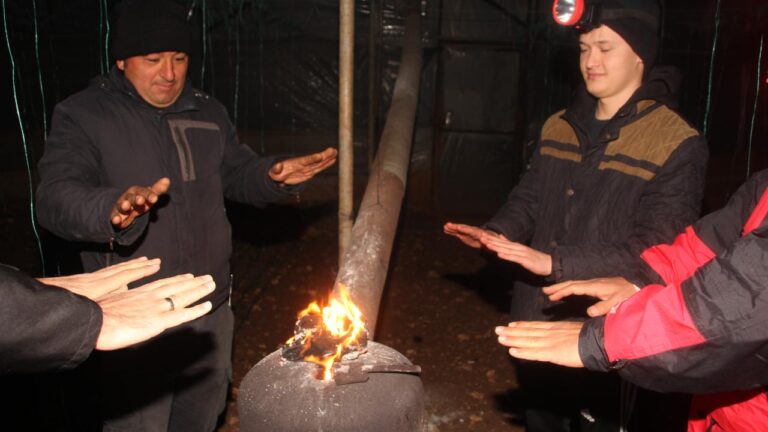 Mersin’deki seralarda tarımsal don saati başladı