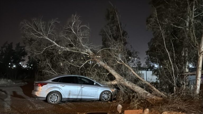 Hatay’da Fırtına: Tekneler Alabora, devrilmiş ağaçlar haline geldi