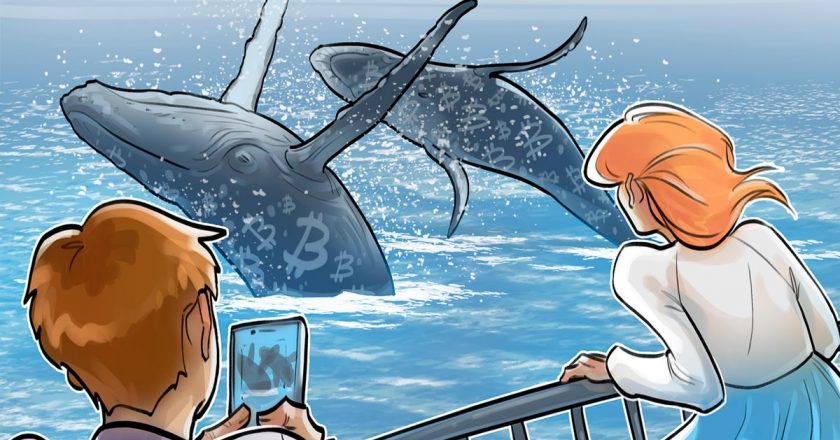 Dev Bitcoin Balina, Trump seçiminden sonra BTC rezervlerini iki katına çıkardı